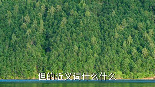 但的近義詞什么什么