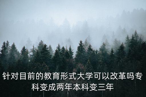 高校改革，高校教育教學改革的內(nèi)容是什么