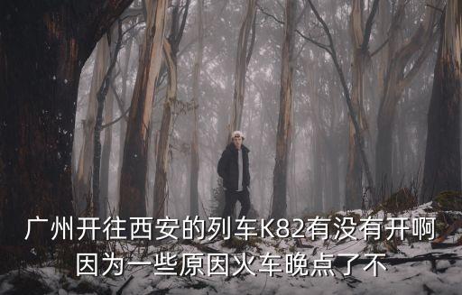 廣州開往西安的列車K82有沒(méi)有開啊因?yàn)橐恍┰蚧疖囃睃c(diǎn)了不