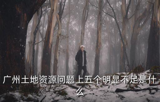 廣州國土嚴(yán)處長，廣州土地資源問題上五個(gè)明顯不足是什么