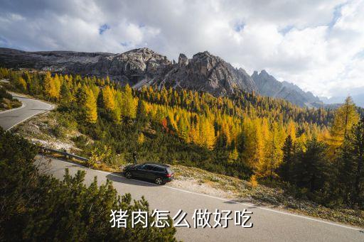 肉的100種做法，豬肉怎樣做好吃