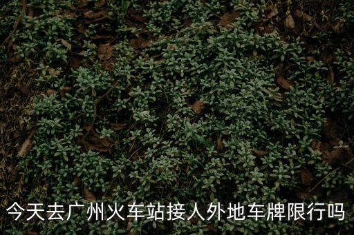 今天去廣州火車站接人外地車牌限行嗎