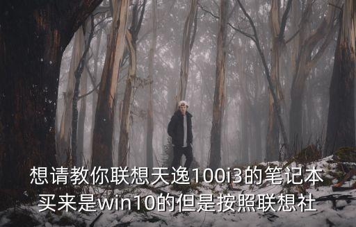天逸100，我有一臺老式的筆記本是聯(lián)想的天逸100想稍做升級