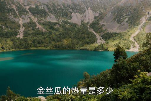 絲瓜的熱量，金絲瓜的熱量是多少