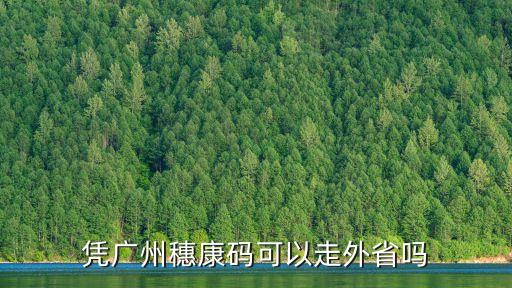 廣州現在去外地都是黃碼嗎，憑廣州穗康碼可以走外省嗎