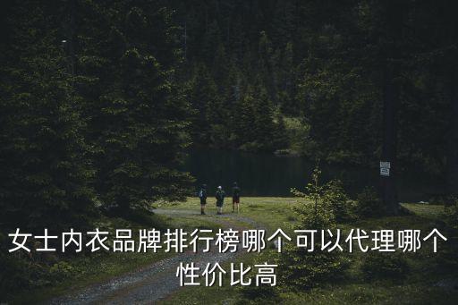 女士?jī)?nèi)衣品牌排行榜哪個(gè)可以代理哪個(gè)性?xún)r(jià)比高