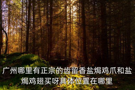 廣州哪里有正宗的齒留香鹽焗雞爪和鹽焗雞翅買呀具體位置在哪里