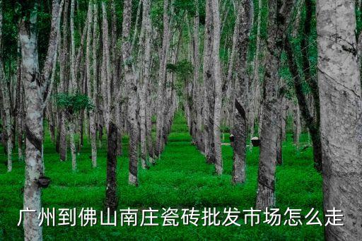 廣州28號線到南莊，怎樣從廣州去佛山南莊
