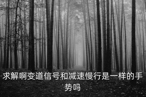 求解啊變道信號和減速慢行是一樣的手勢嗎