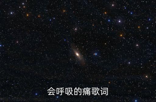 會呼吸的痛歌詞