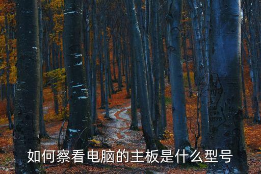 查看電腦主板型號，電腦常識怎樣查看電腦主板的型號
