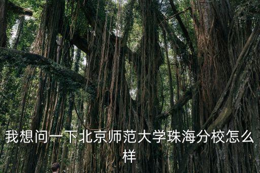 我想問一下北京師范大學(xué)珠海分校怎么樣