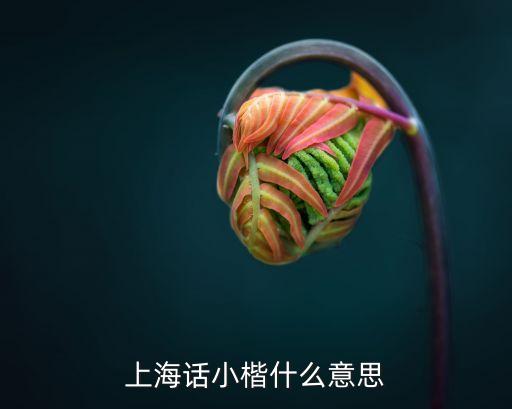 小楷，好的小楷字帖