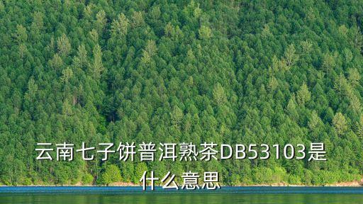 七子餅，七子餅和普洱茶是一個東西嗎