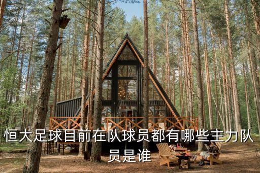 恒大足球目前在隊球員都有哪些主力隊員是誰