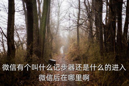 微信計(jì)步器，微信上的記步軟件
