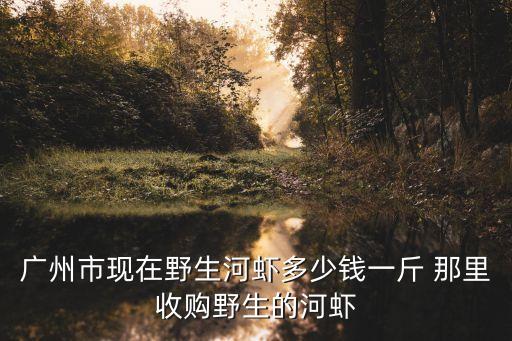 廣州市現(xiàn)在野生河蝦多少錢一斤 那里收購野生的河蝦