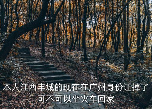 本人江西豐城的現(xiàn)在在廣州身份證掉了可不可以坐火車回家
