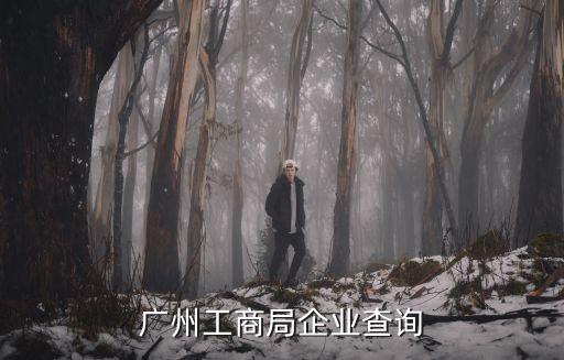 廣州工商局企業(yè)查詢