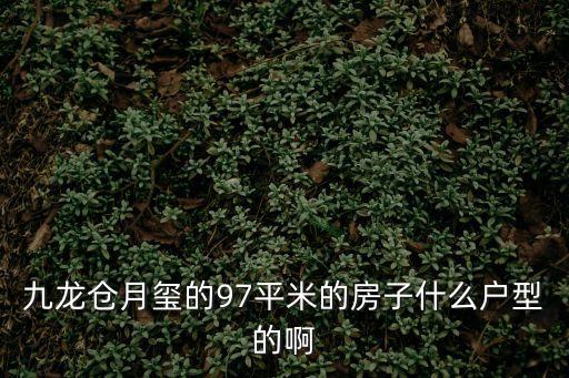 九龍倉月璽的97平米的房子什么戶型的啊