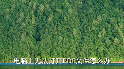 pdf打不開，PDF打不開