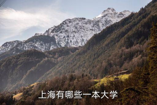 上海的一本大學，上海有一本的大學