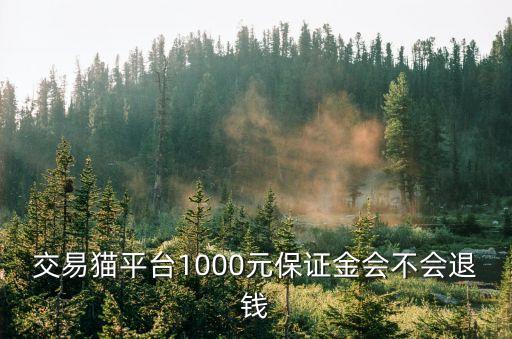 在廣州交易貓的保證金能退款嗎，請問一下我在交易貓上租游戲賬號然后要付押金押金是放在平臺