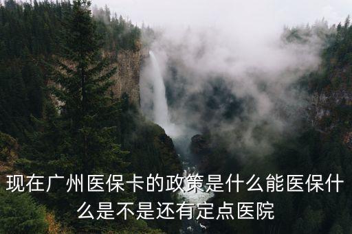 現(xiàn)在廣州醫(yī)保卡的政策是什么能醫(yī)保什么是不是還有定點(diǎn)醫(yī)院