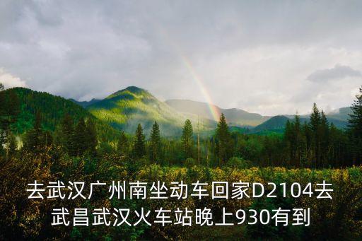 去武漢廣州南坐動車回家D2104去武昌武漢火車站晚上930有到