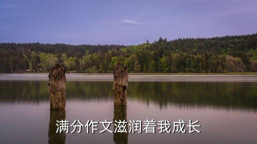 滋潤我成長，實文化浸潤我成長作文300