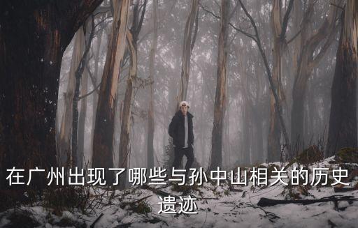 廣州大元帥府在哪個(gè)區(qū)啊，廣州大元府在那里