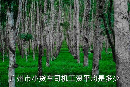 廣州黃埔區c1貨運司機，在廣州C1證好找司機的工作嗎