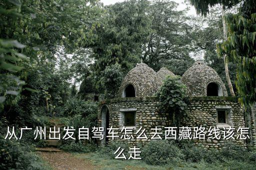 廣州到林芝開車路線，廣州到林芝有多遠
