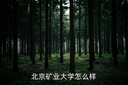 北京礦業大學怎么樣