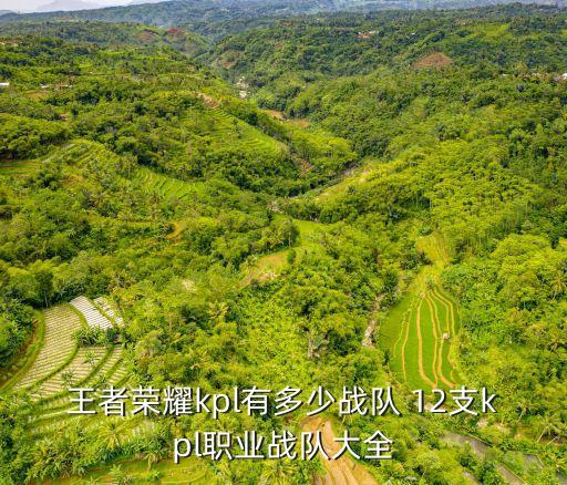 廣州ttg是不是kpl，王者榮耀游戲中kpl有多少職業(yè)戰(zhàn)隊(duì)