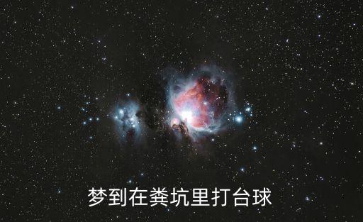 夢到在糞坑里打臺球