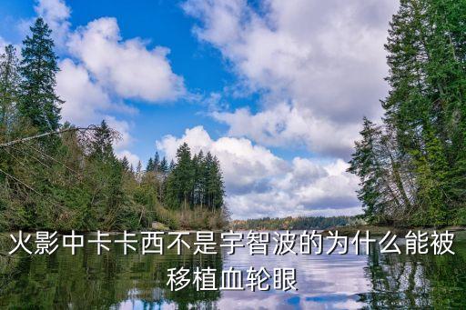 馳援武漢醫(yī)療隊(duì)返回廣州，火影中卡卡西不是宇智波的為什么能被移植血輪眼