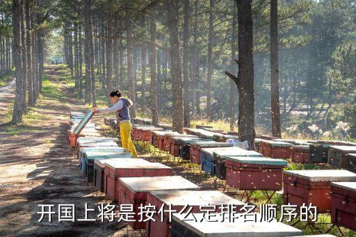 上將排名，中國現代上將排名