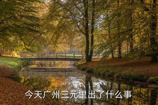 今天廣州三元里出了什么事
