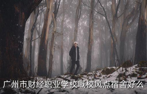 廣州市財(cái)經(jīng)職業(yè)學(xué)校嘅校風(fēng)點(diǎn)宿舍好么