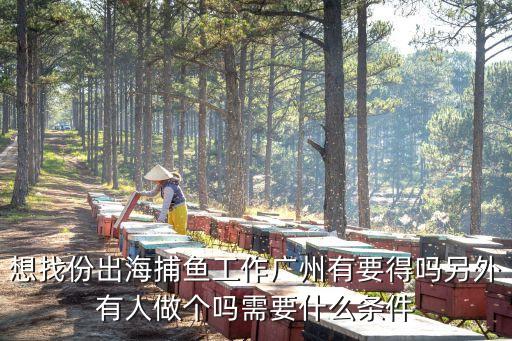廣州出海抓魚，廣州的碼頭有出海捕魚的嗎