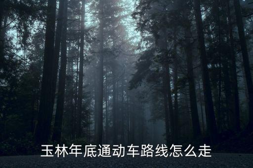 玉林至廣州鐵路規劃，廣州到玉林什么時候有高鐵路呀