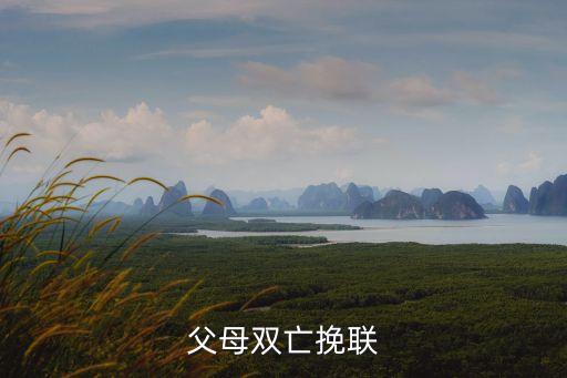 父母雙亡挽聯
