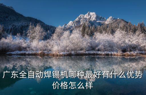 廣東全自動焊錫機哪種最好有什么優勢價格怎么樣