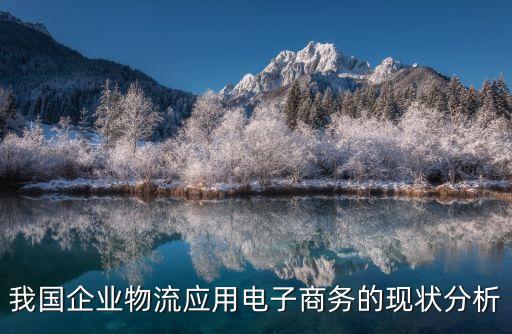 我國企業物流應用電子商務的現狀分析