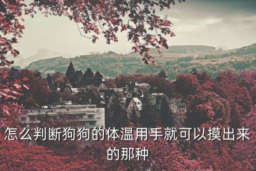 狗狗發(fā)燒摸哪里，怎么判斷狗狗的體溫用手就可以摸出來的那種