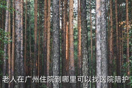 陪看病廣州，陽光康眾可以提供哪些醫院的陪診服務 麻煩您詳細點