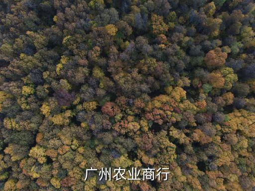 廣州農商銀行官方網址，廣州農業商行