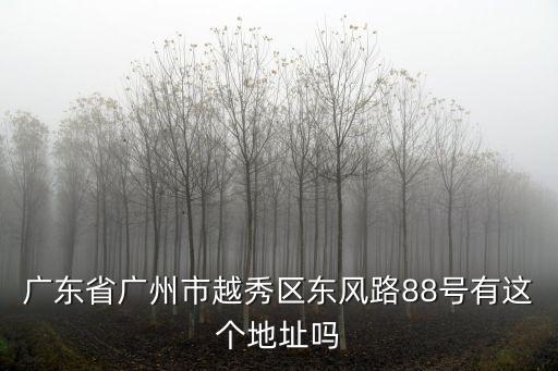 廣東省廣州市越秀區東風路88號有這個地址嗎