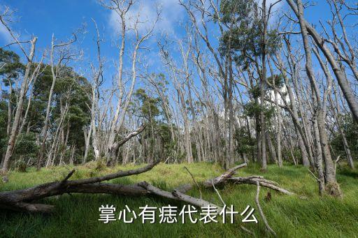 掌心的痣，掌心痣代表什么